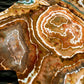 XXL Geode Tee